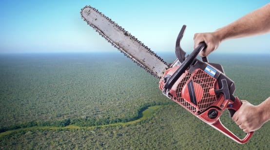 Photomontage: A chainsaw before an aerial view of the Chaco forest