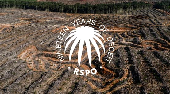 Collage with the RSPO logo and the tagline "19 years of deceit" over a cleared rainforest