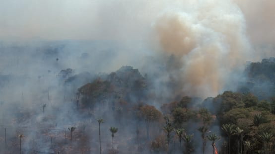 Aerial view of burning rainforest