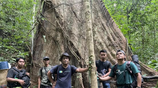 Men at the foot of a huge tree