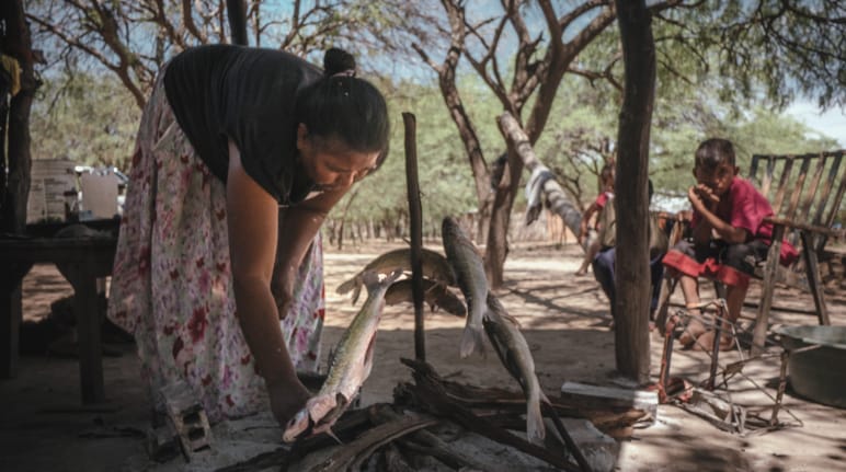 An Indigenous woman prepares to grill fish while a child looks on