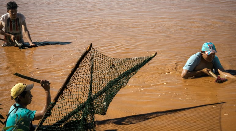 Three men stand up to their waists in the brown waters of a body of water to catch fish