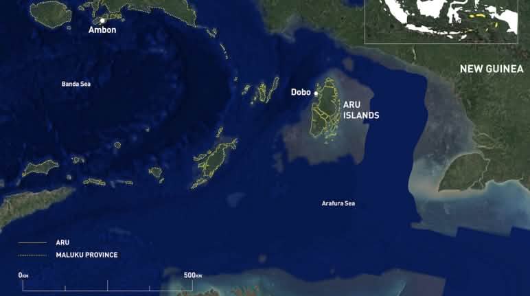 Is the fourth assault on the Aru Islands looming? New Guinea - Aru Islands - northern Australia