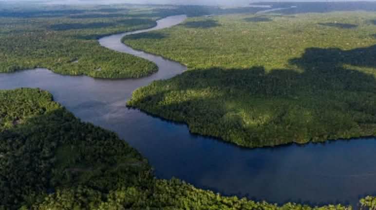 Ocean straits separate 800 small islands of limestone – this is no place for shady carbon trading schemes Wooded islands with water in between