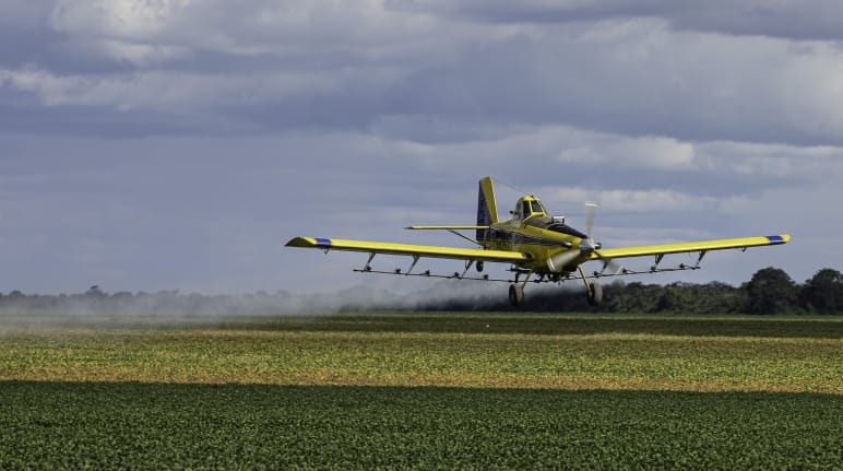 A single-engined light plane sprays pesticides over a soy plantation
