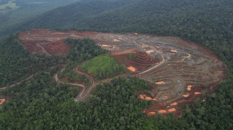 Nickel mine in the middle of a destroyed rainforest area