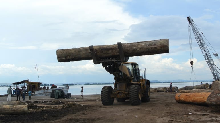 Loading timber in the port of Kinshasa