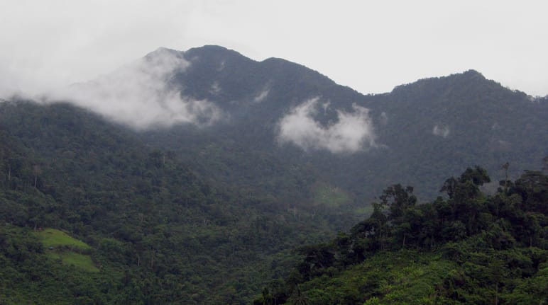 Mountain landscape covered with dense forest
