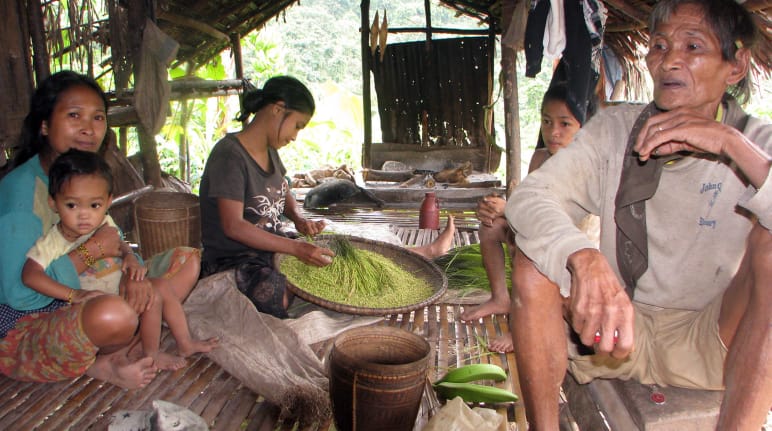 A man, three women and a small boy sit in an open hut, a woman sorts rice in a shallow bowl