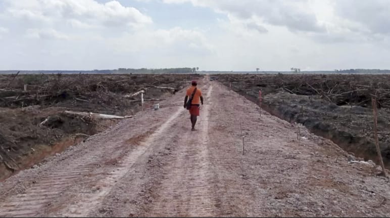 A man walking through cleared land