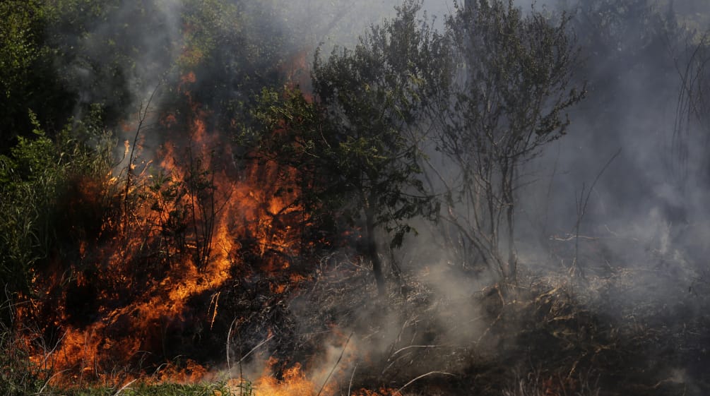 Flames and smoke spreading through the bush