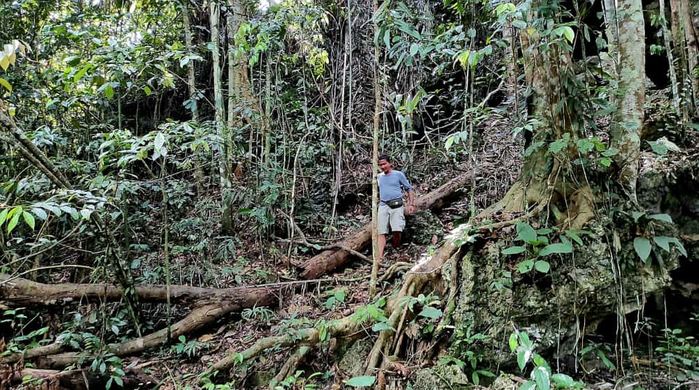 Man in the forest