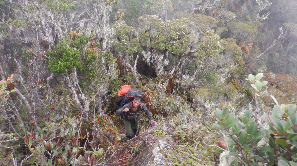 A ranger with a backpack in rugged terrain