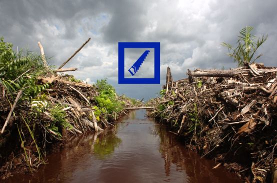 Freshly cleared rainforest. The Deutsche Bank logo is superimposed on the picture.