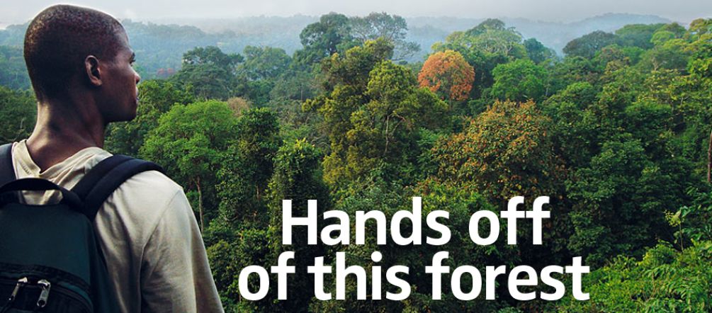Cameroon needs biodiversity, not green deserts: much of the country is still covered by dense rainforest Hands off of this forest