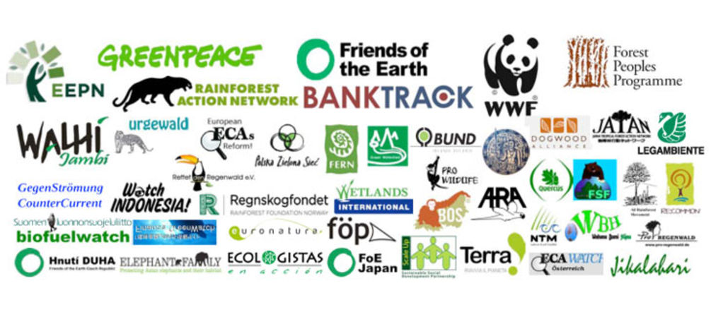 Open Letter To Financial Institutions On Pulp Investment Rainforest Rescue