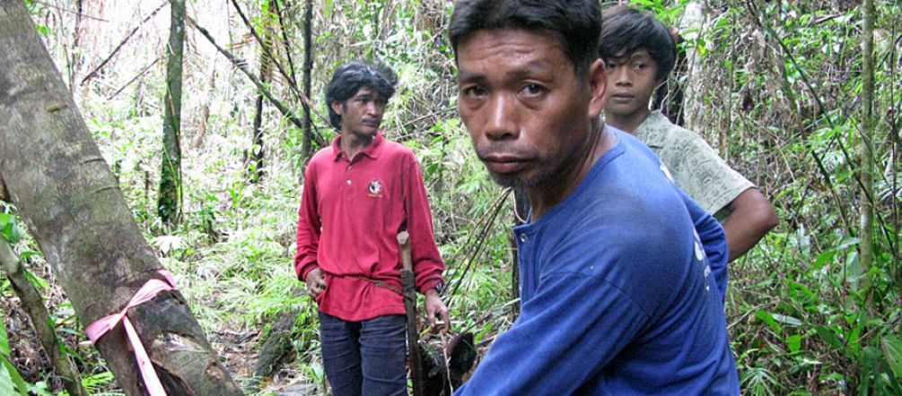 The mining corporation has already marked trees for logging inside a forest belonging to the indigenous Palawan.