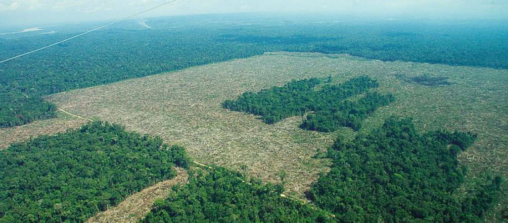 Rainforest in Colombia