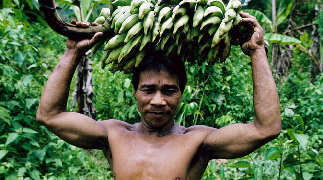 Philippines: Please support Palawan's Indigenous Peoples ...