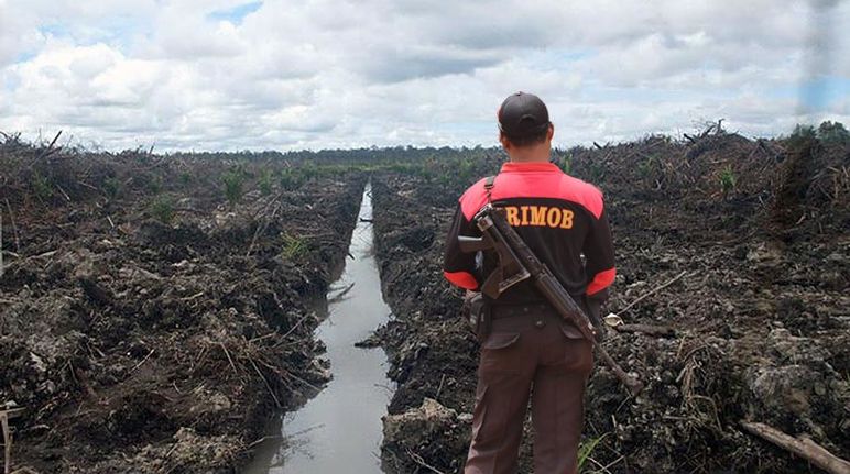 A man wearing a Brimob logo and an assault rifle on his back in front of bulldozed rainforest