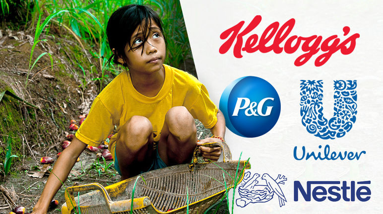 Kellogg’s, Nestlé, Unilever: child labor for palm oil!