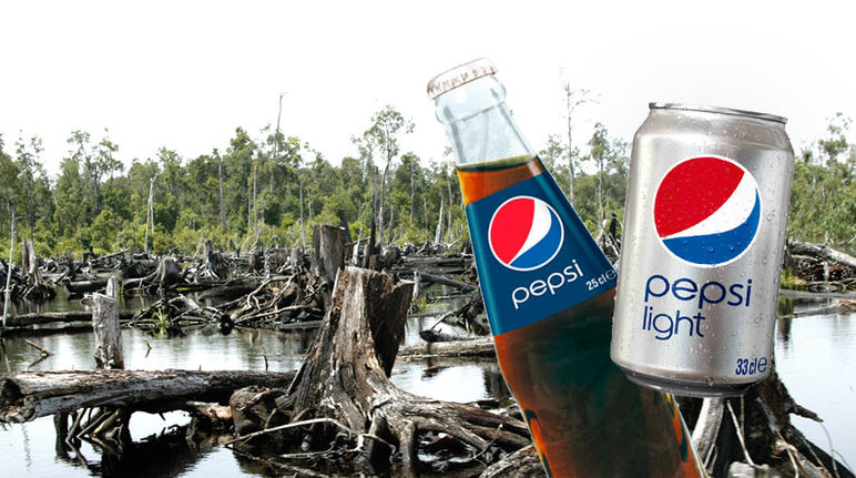 A can and a bottle of Pepsi, with a rainforest clearing in the background