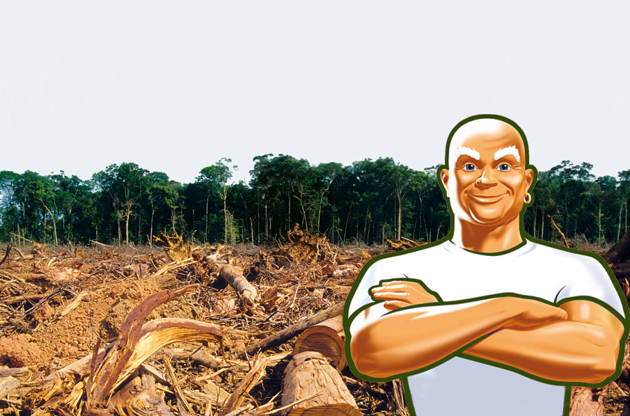 Procter & Gamble – Palm Oil Detectives