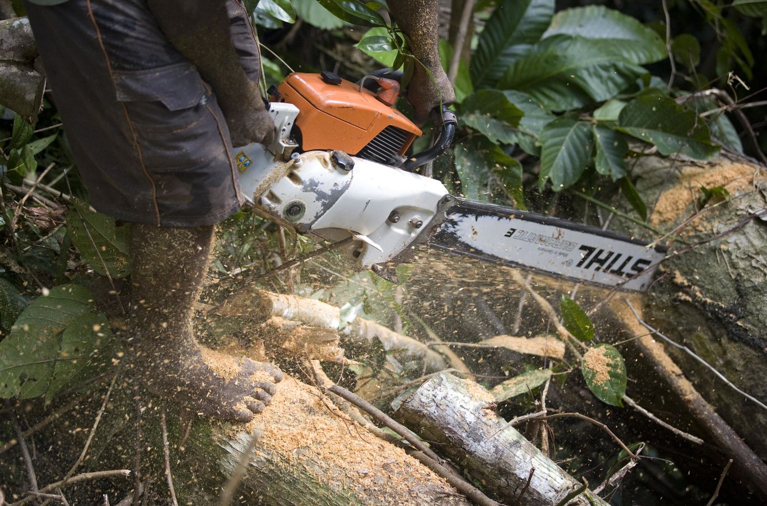 Мое сердце бензопила. Бензопила Stihl 021. Штиль да. Cut off Trees.